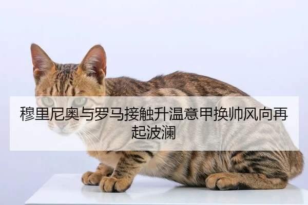 穆里尼奥与罗马接触升温意甲换帅风向再起波澜