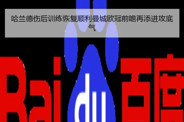 哈兰德伤后训练恢复顺利曼城欧冠前瞻再添进攻底气